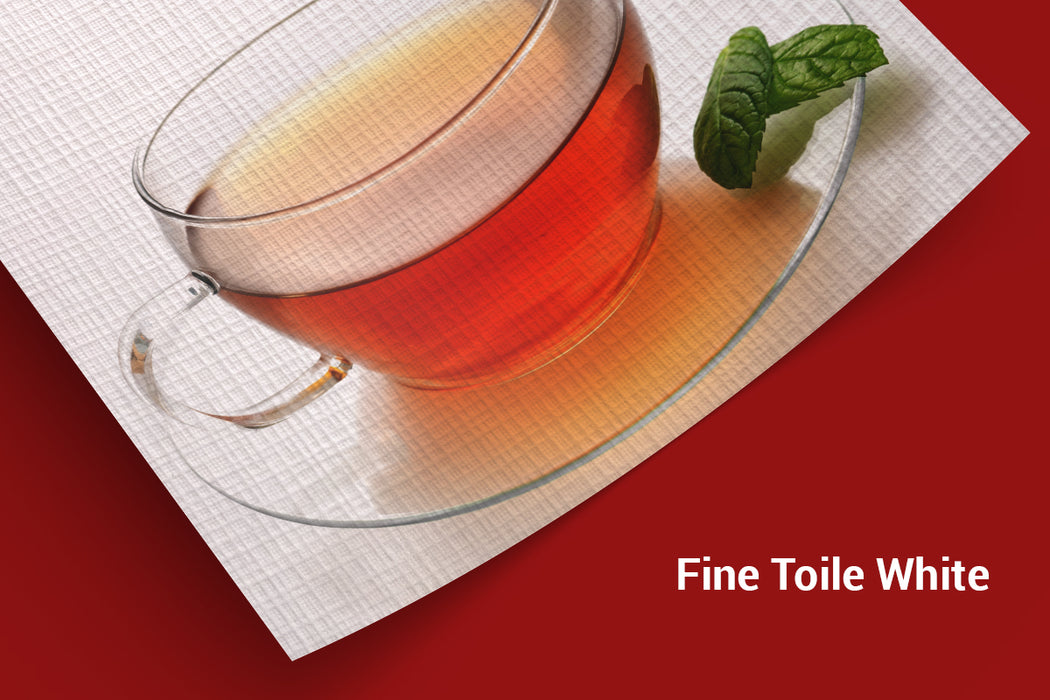 Fine Toile White