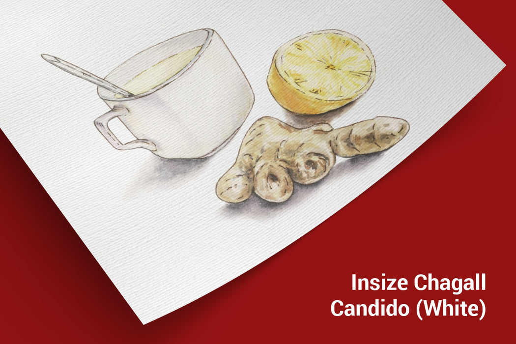 Insize Chagall Candido ( White )