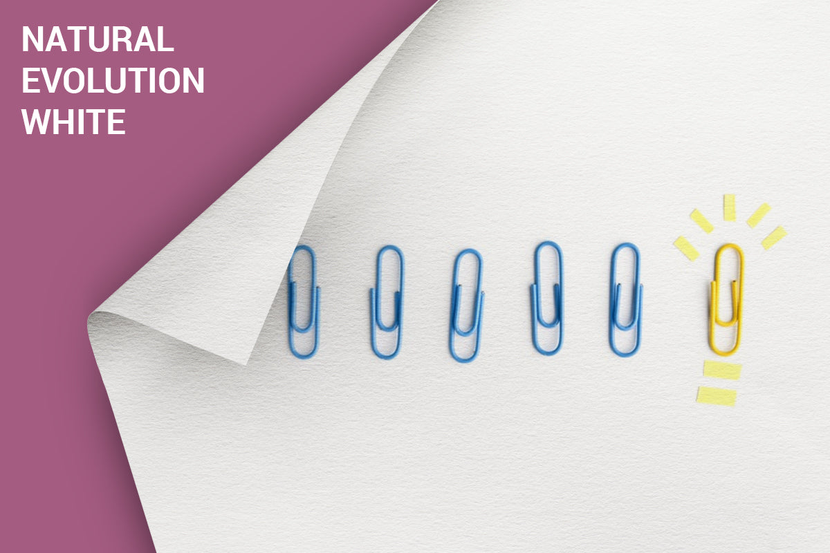 Natural Evolution White — Quantum Infinity Papers Pvt Ltd